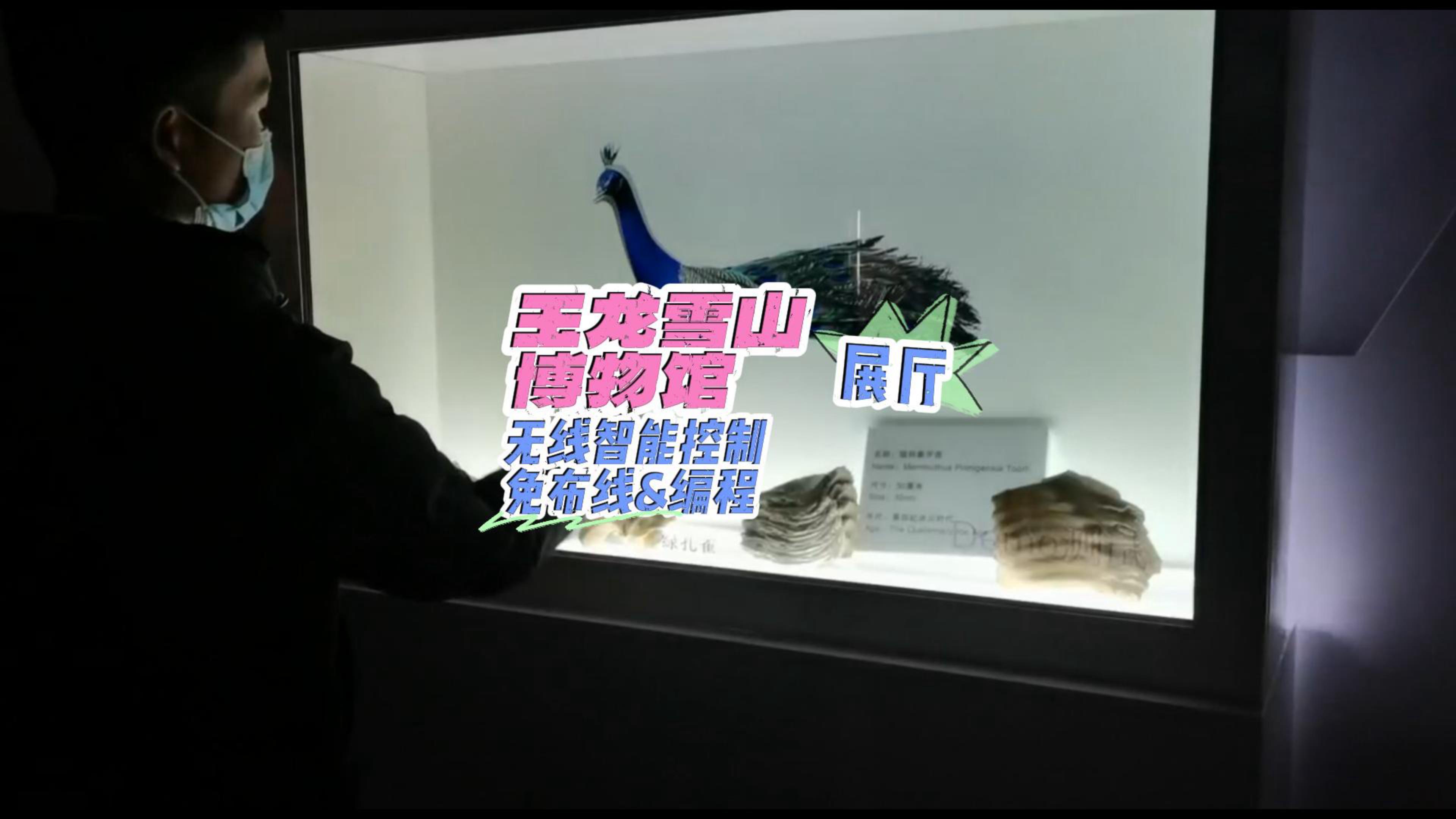 玉龍雪山博物館無線智能控制-封面.jpg